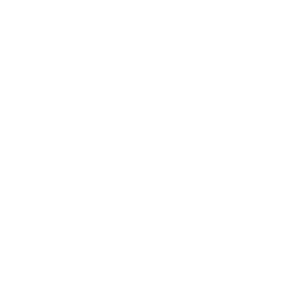 Deniz transporte Logo 2